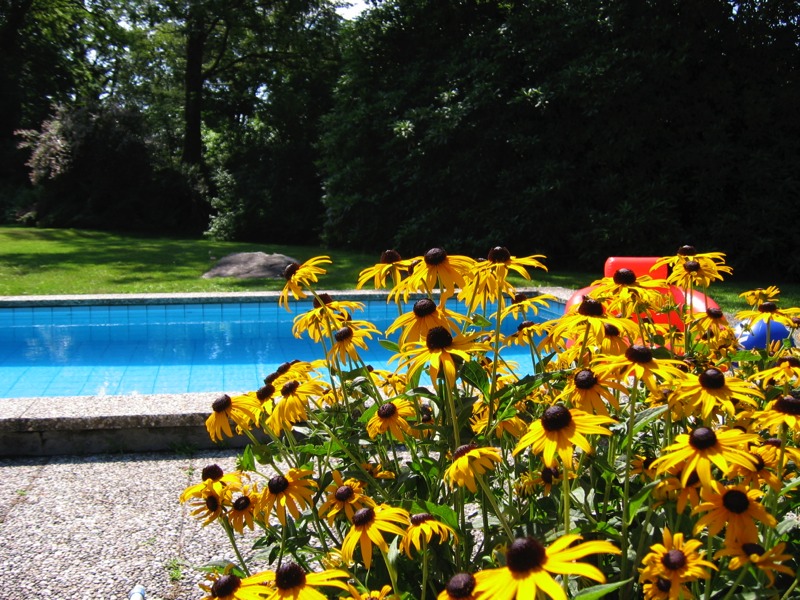 Blick auf den Pool